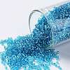 TOHO Round Seed Beads SEED-JPTR15-0023B-1