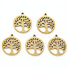 304 Stainless Steel Pendants LS-X-STAS-N092-09G-1