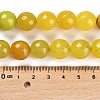 Natural Agate Beads Strands G-L595-A01-01G-5