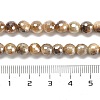 Electroplated Natural Tiger Eye Round Beads Strands G-L598-A04-01-5