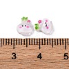 Opaque Ten kinds of Resin Vegetable Cabochons LS-CRES-R459-01A-3