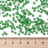 MIYUKI Round Rocailles Beads X-SEED-G008-RR0145-4