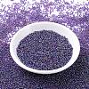 MIYUKI Round Rocailles Beads X-SEED-G007-RR0356-2