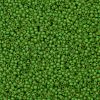 TOHO Round Seed Beads SEED-JPTR11-0306FM-2