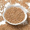 Baking Paint Glass Seed Beads SEED-P006-03A-24-2