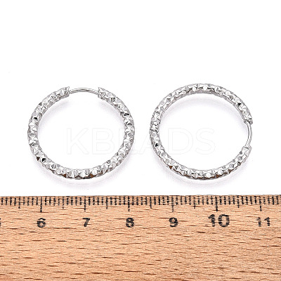 304 Stainless Steel Hoop Earrings STAS-T074-19P-1