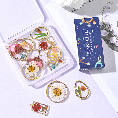 12Pcs 6 Styles Transparent Clear Epoxy Resin Pendants RESI-SC0036-60B-1