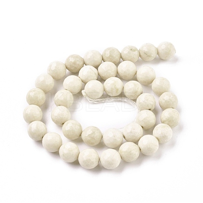 Natural Fossil Round Bead Strands G-O151-02-10mm-1