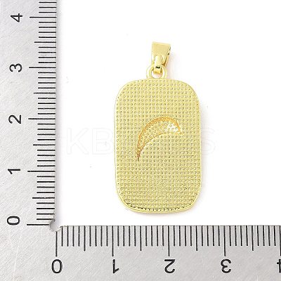 Brass Enamel Pendants KK-Z101-05G-02-1