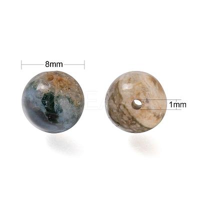 100Pcs 8mm Natural Ocean Agate/Ocean Jasper Round Beads DIY-LS0002-59-1