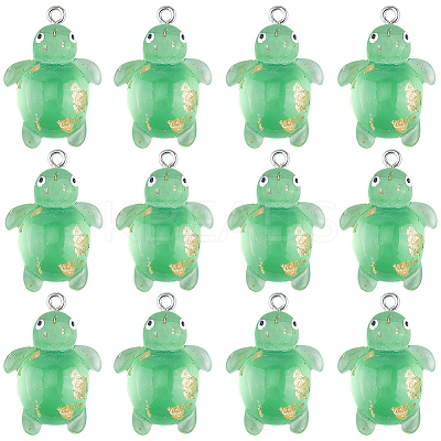 30Pcs Transparent Resin Pendants RESI-SC0002-72-1