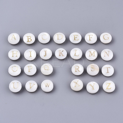 Natural Freshwater Shell Beads SHEL-S266-12-1