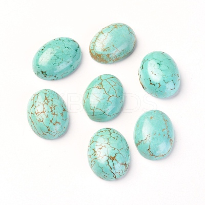 Natural Magnesite Cabochons TURQ-L031-038D-04-1