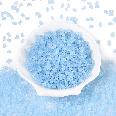 FGB Frosted Transparent Glass Seed Beads SEED-N013-06A-11-1