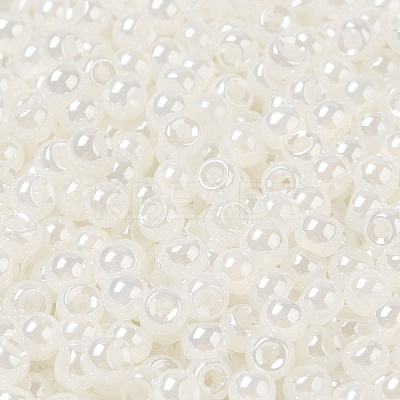 Glass Seed Beads SEED-H002-E-A141-1