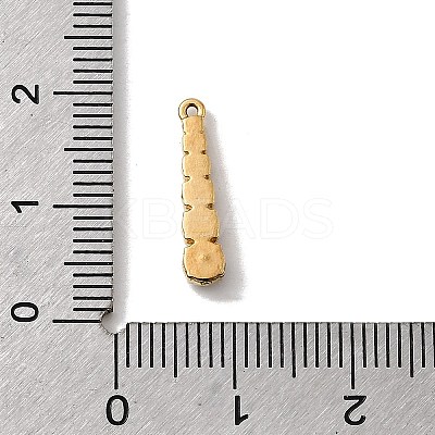 304 Stainless Steel Pendants STAS-B102-06C-G-1