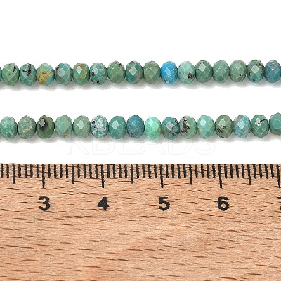 Natural HuBei Turquoise Beads Strands G-P629-B02-01-1