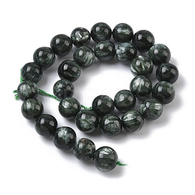 Natural Seraphinite Beads Strands G-C270-O01-13-1
