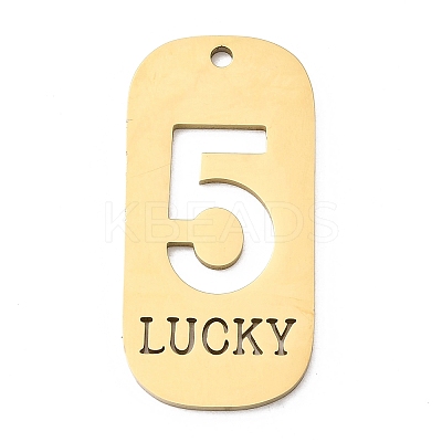 304 Stainless Steel Pendants STAS-D200-02F-G-1
