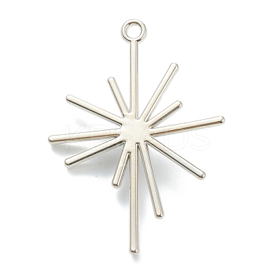 Alloy Pendants PALLOY-E580-05P-1
