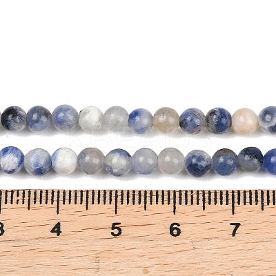 Natural Sodalite Round Bead Strands G-E334-4mm-08-1
