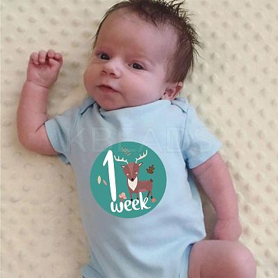 Newborn Monthly Milestone Stickers DIY-H127-B16-1