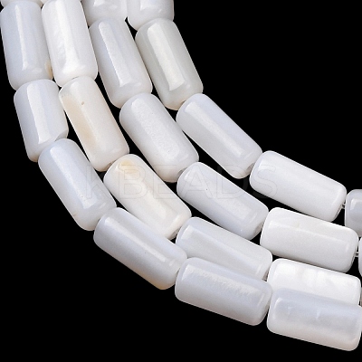 Natural Freshwater Shell Beads Strands SH-CBA2978-21B-1
