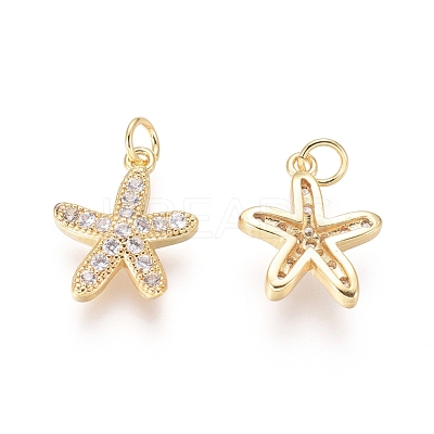 Brass Charms ZIRC-L087-044G-1