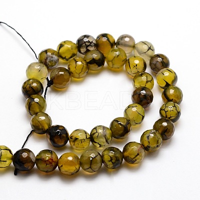 Dyed Natural Agate Faceted Round Beads Strands G-E320E-8mm-11-1