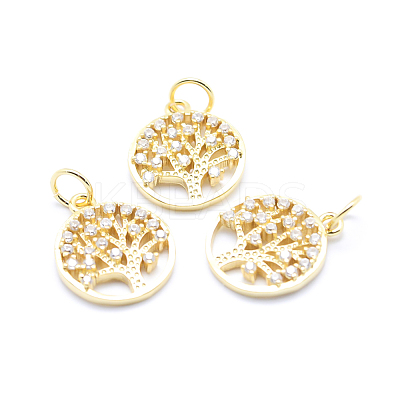 Brass Micro Pave Cubic Zirconia Charms ZIRC-L070-06-1