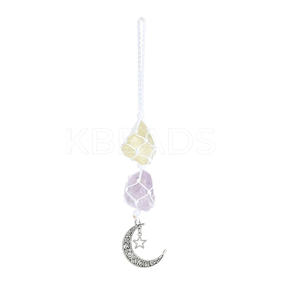 Nuggets Natural Gemstone Pocket Pendant Decorations HJEW-JM00994-03-1