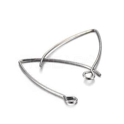 Tarnish Resistant 304 Stainless Steel Earring Hooks STAS-F191-02P-B-1