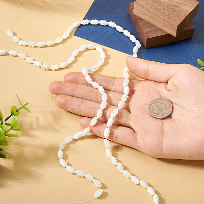 2 Strands Natural Trochus Shell Beads Strands SHEL-TA0001-20-1