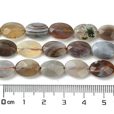 Natural Botswana Agate Beads Strands G-H004-B02-03-1