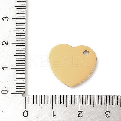 Ion Plating(IP) 304 Stainless Steel Pendants STAS-K270-05G-1