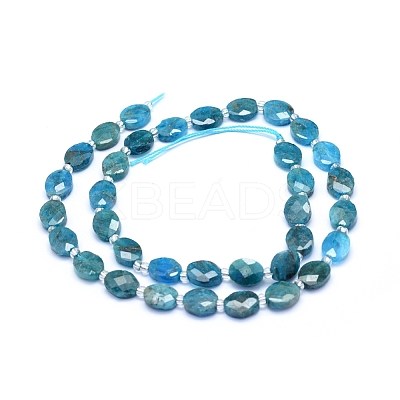 Natural Apatite Beads Strands G-L552J-01B-1
