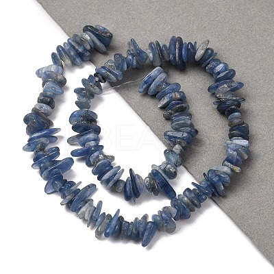 Natural Kyanite/Cyanite/Disthene Chip Beads Strands X-G-E271-78-1