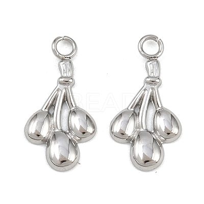Fruit 304 Stainless Steel Charms STAS-H242-03P-05-1