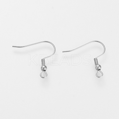 Tarnish Resistant 304 Stainless Steel Earring Hooks LS-X-STAS-S066-11-1