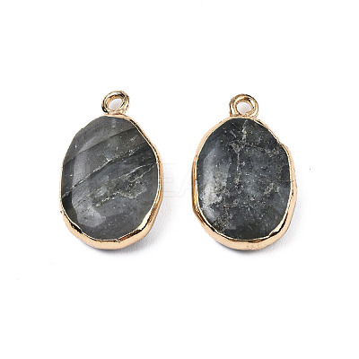 Natural Labradorite Pendants G-N326-130-05-1