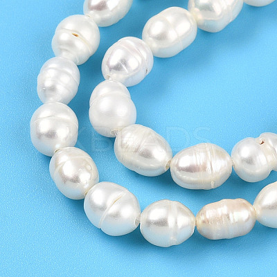 Natural Cultured Freshwater Pearl Beads Strands PEAR-N012-05Y-1