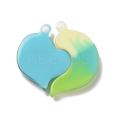 Gradient Color Translucent Resin Pendants RESI-G048-01E-1