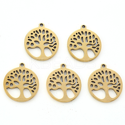 304 Stainless Steel Pendants LS-X-STAS-N092-09G-1