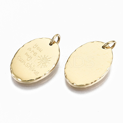 304 Stainless Steel Pendants STAS-S116-022G-1