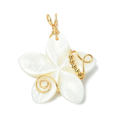 Natural Carved Freshwater Shell Pendants PALLOY-JF03392-1