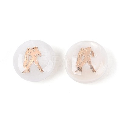 Natural Freshwater Shell Beads SHEL-N037-02K-G-1