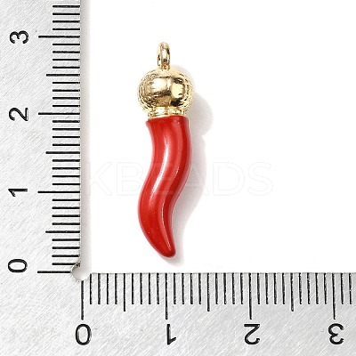 Opaque Resin Pendants RESI-V004-01B-1
