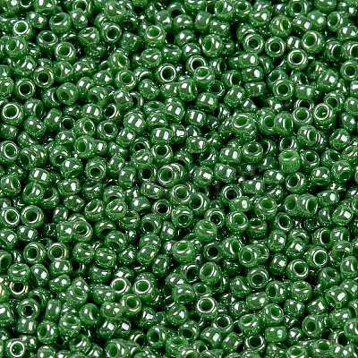 MIYUKI Round Rocailles Beads X-SEED-G009-RR0431-1