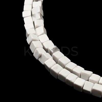 Natural Howlite Beads Strands G-B064-A12-1