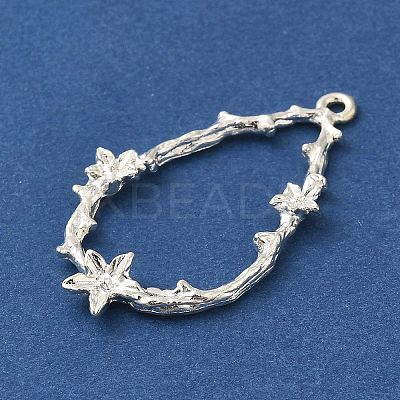 Rack Plating Alloy Pendants FIND-C063-10S-1